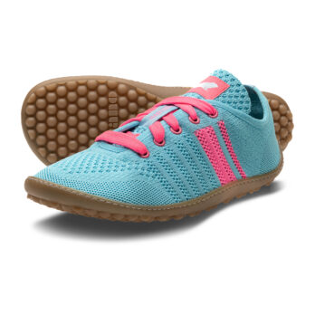 Leguano Caribeo Blue